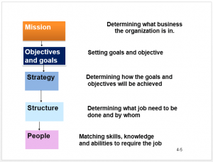 5 Steps In Human Resource Planning