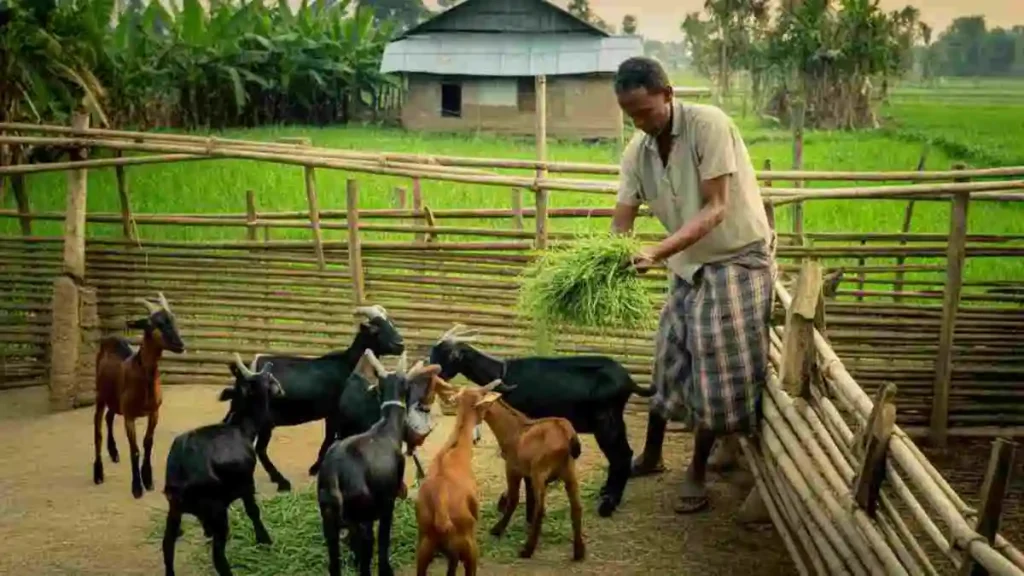 cover গ্রামে লাভজনক ব্যবসা: ৩টি স্মার্ট আইডিয়া ও সফলতার সূত্র