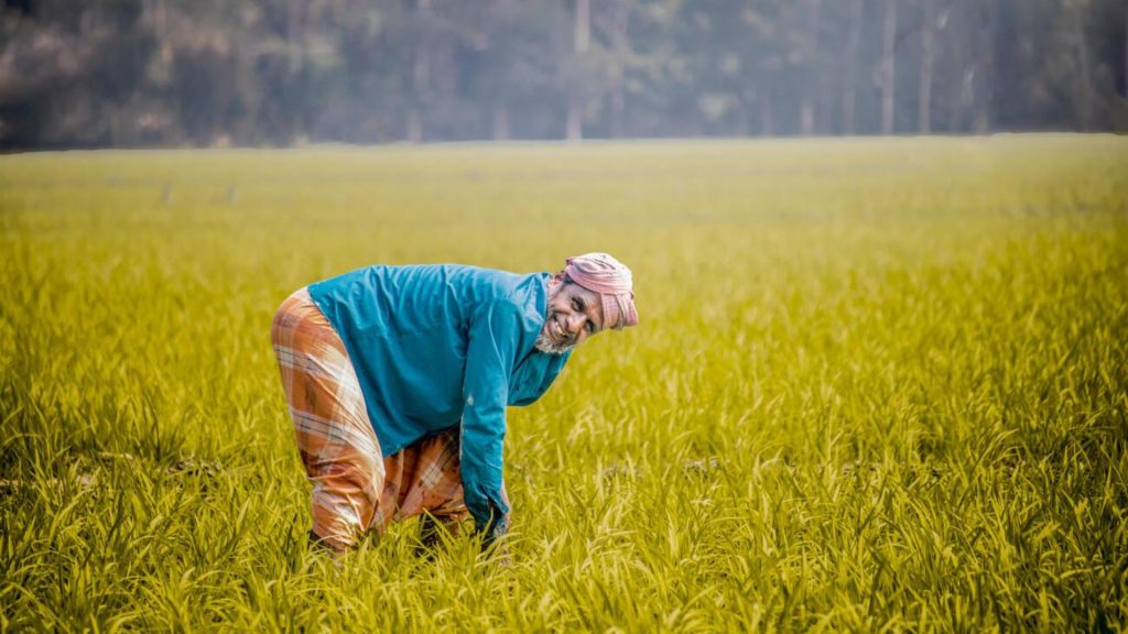 featured image 1775226900285 গ্রামে অনলাইন ব্যবসা: সফলতার গোপন সূত্র